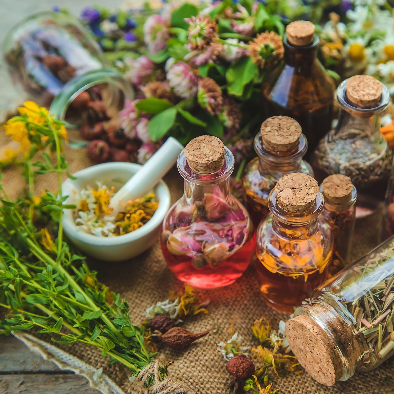 Phytothérapie, Pharmacie Bouffard Despretz, Sainte-Gemmes-sur-Loire, Les Ponts-de-Cé